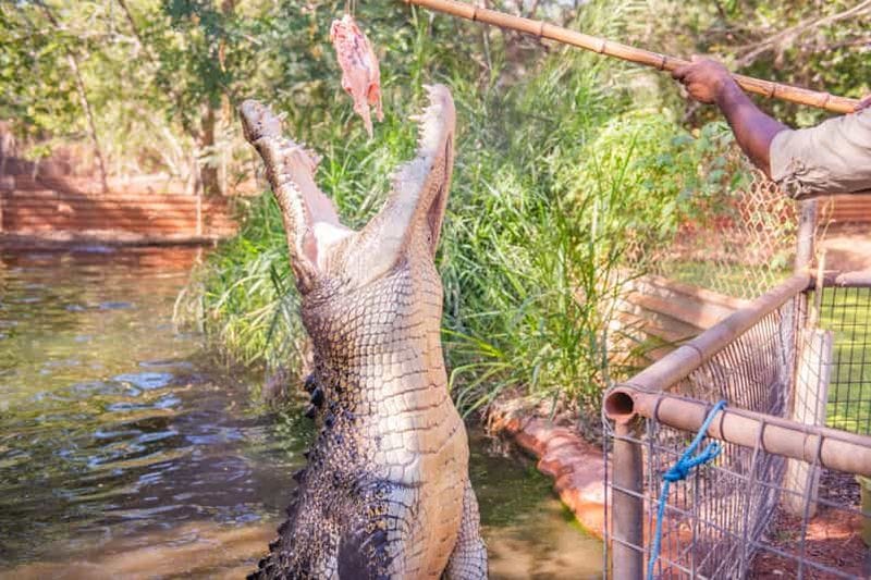 Billet Broome : Visite combinée de la brasserie Matso's, du musée et du parc aux crocodiles