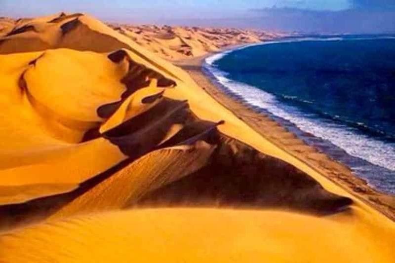 Billet Walvis Bay : excursion d'une demi-journée en 4x4 à Sandwich Harbour