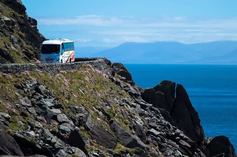 Billet Depuis Killarney : visite d'une journée à Dingle et à la péninsule de Slea Head