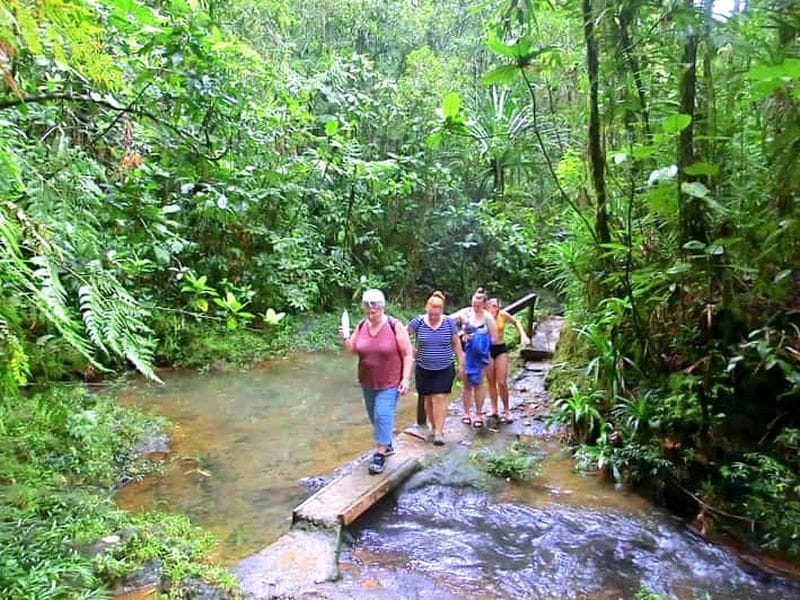 Billet Suva : visite touristique de la ville en demi-journée