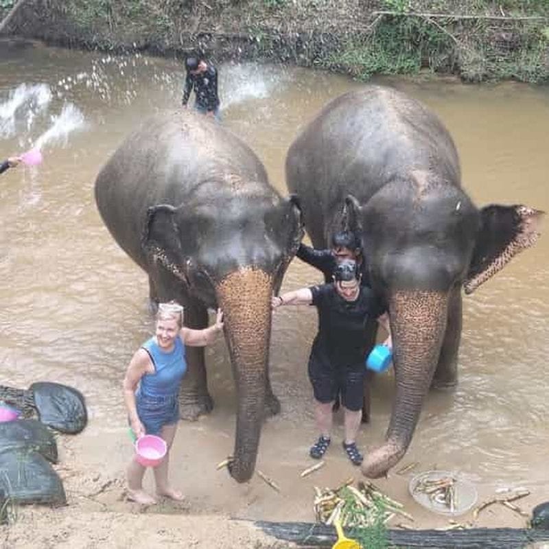 Billet Siem Reap : visite guidée du massif Phnom Kulen et du refuge des éléphants