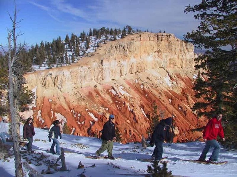 Billet Vallée d'Aoste : Cours de raquettes à neige dans des forêts d'hiver enchantées