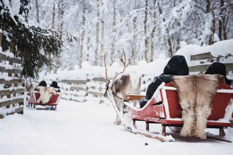 Billet Rovaniemi : ferme de huskies et expérience avec les rennes