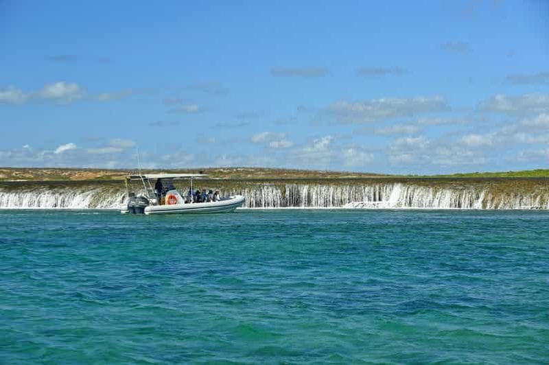 Billet Croisière panoramique dans la baie de Cygnet, unique cascade de marée et récifs
