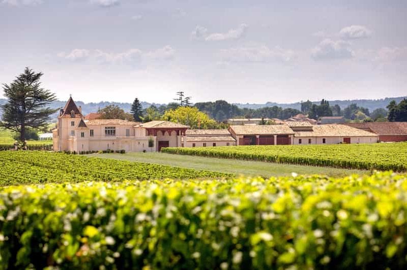 Billet Saint-Émilion : Visite de vignoble et panier pique-nique gourmand