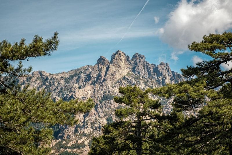 Ghisonaccia - Attraction la plus populaire