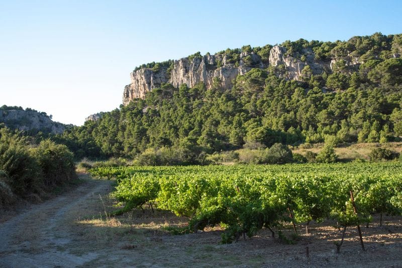 Gruissan - Attraction la plus populaire