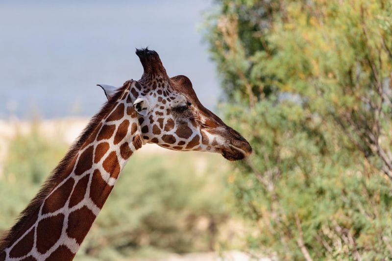 Ferrals-les-Corbières - Attraction la plus populaire