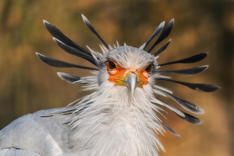 Lisieux - Attraction la plus populaire