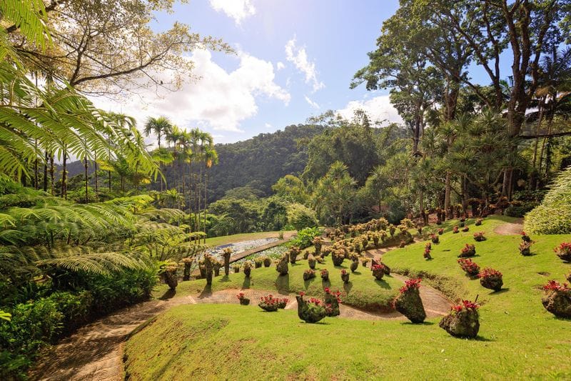 Martinique - Attraction la plus populaire
