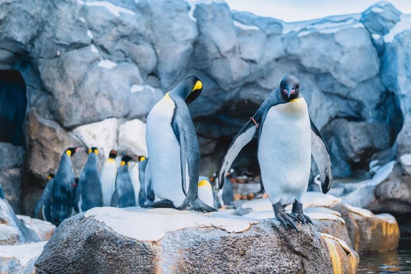 Calgary - Attraction la plus populaire