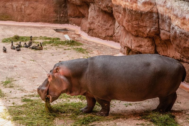 Wroclaw - Attraction la plus populaire