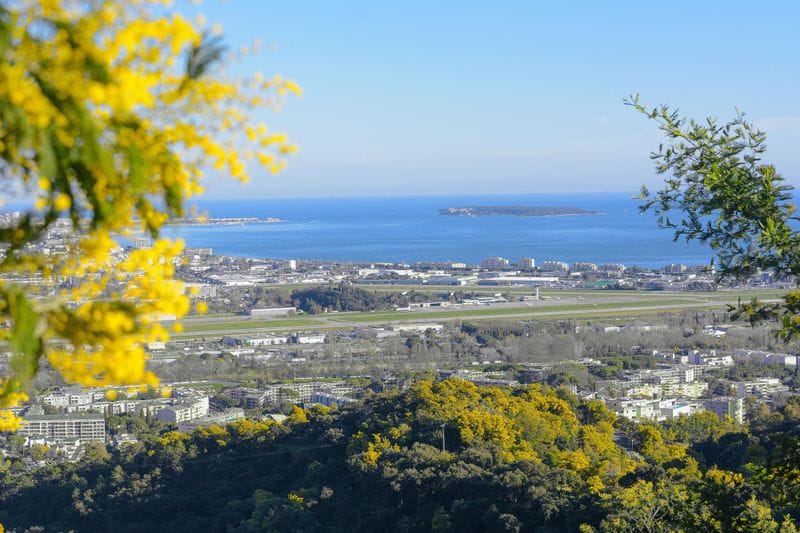 Cannes - Attraction la plus populaire