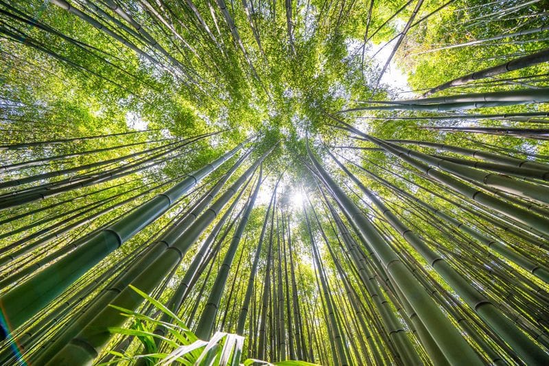 Anduze - Attraction la plus populaire