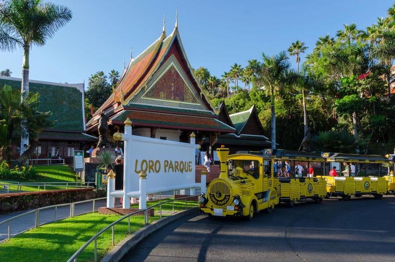 Ténérife - Attraction la plus populaire