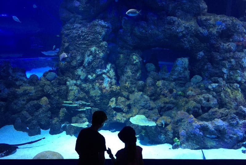 Cairns - Attraction la plus populaire