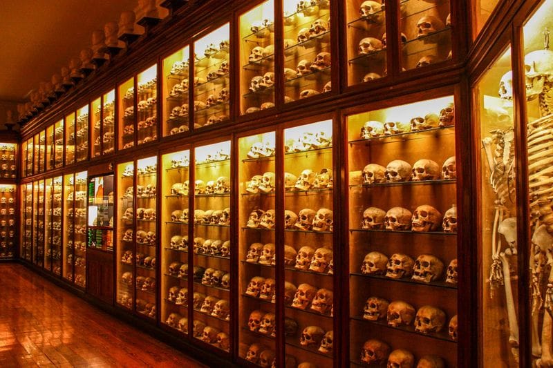 Canalejas - Attraction la plus populaire