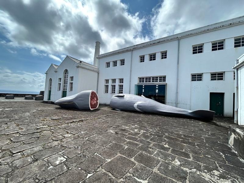 Fábrica da Baleia do Boqueirão