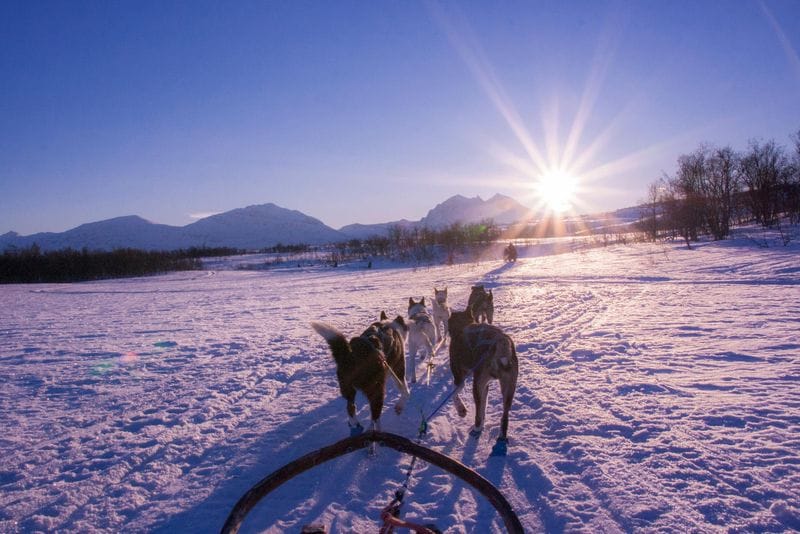 Pas de la case - Attraction la plus populaire