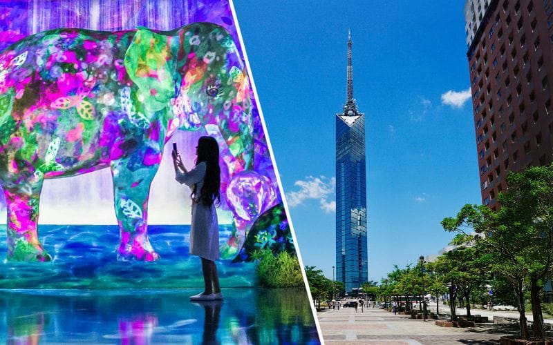 Billet Combo : Billets E・ZO FUKUOKA teamLab Forest + Fukuoka Tower