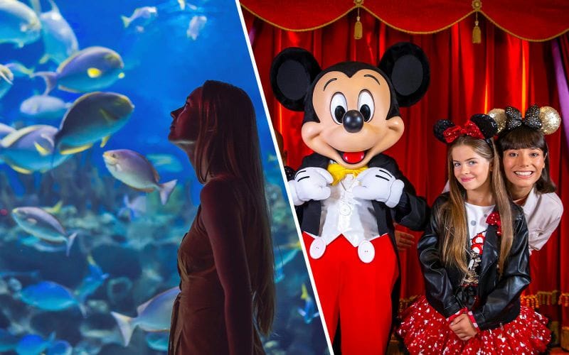Billet Combo : Billets pour l'Aquarium de Paris + Disneyland Paris