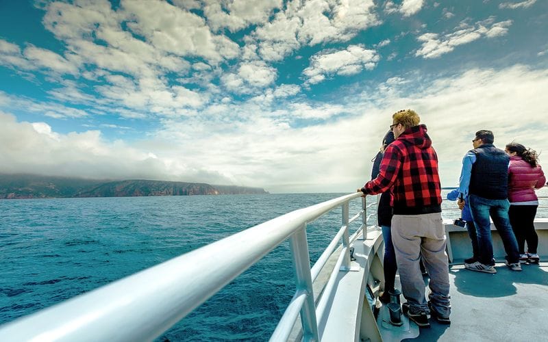 Billet Croisières dans la baie de Wineglass