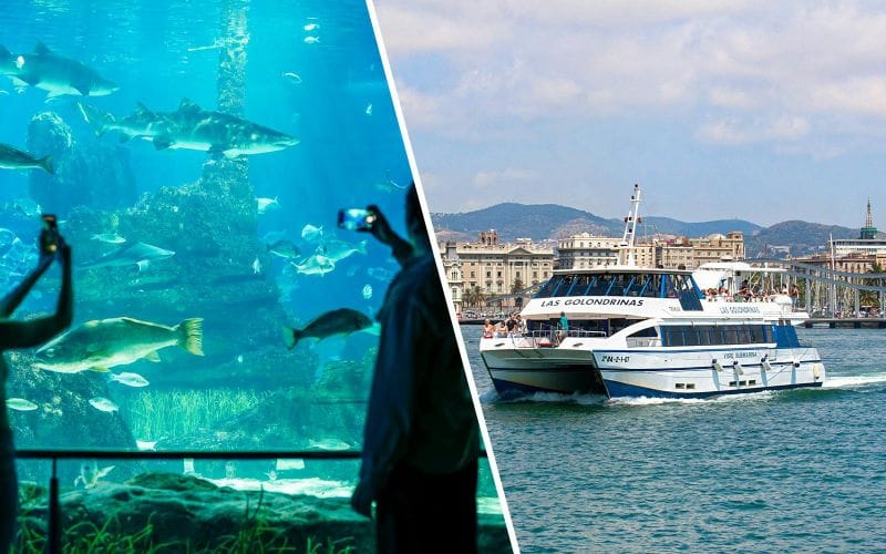 Billet Combo : Billets coupe-file pour l'Aquarium de Barcelone + Tour en bateau Las Golondrinas
