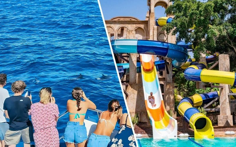 Billet Combo :  Croisière d'observation des dauphins et des baleines à Grande Canarie avec bateau à fond de verre et pass journalier pour Aqualand Maspalomas