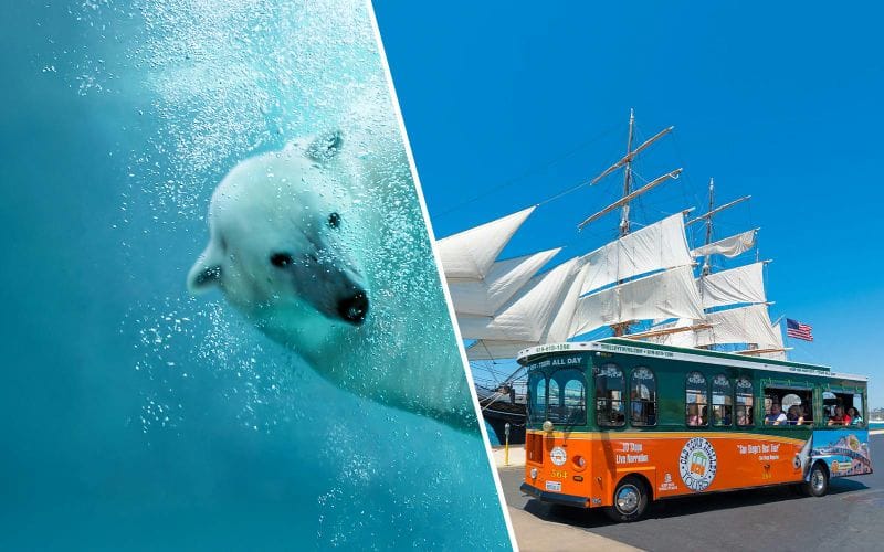 Billet Combo : Billets pour le zoo de San Diego + Old Town Trolley visite