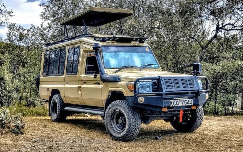 Billet Safari privé d'une demi-journée au parc national de Nairobi avec navettes de/vers l'hôtel