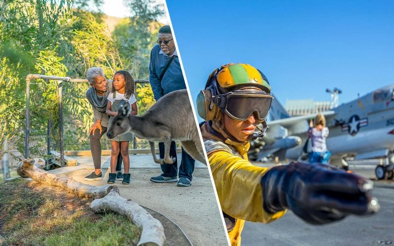 Billet Combo : Parc safari du zoo de San Diego + Billets pour le musée USS Midway
