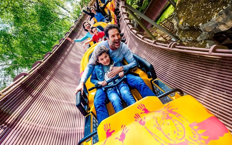 Billet Billets d'entrée au Parc Astérix pour une journée entière