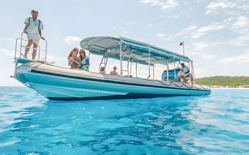 Billet Depuis Hervey Bay : Croisière d'observation des baleines d'une demi-journée et visite aventure sur l'île