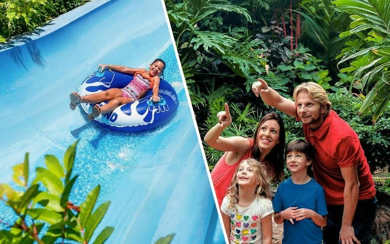 Billet Combo :  Billet « Aventure d'une journée » pour Aqualand Maspalomas et Palmitos Park à Grande Canarie