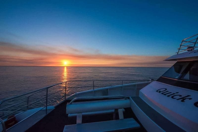 Billet Au départ de Hervey Bay : Croisière d'observation des baleines d'une demi-journée avec 3 niveaux d'observation et des rafraîchissements
