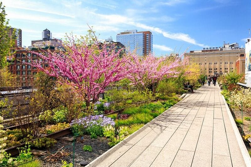 Billet Visite privée de High Line, Chelsea et Hudson Yards à New York avec billets optionnels pour The Edge