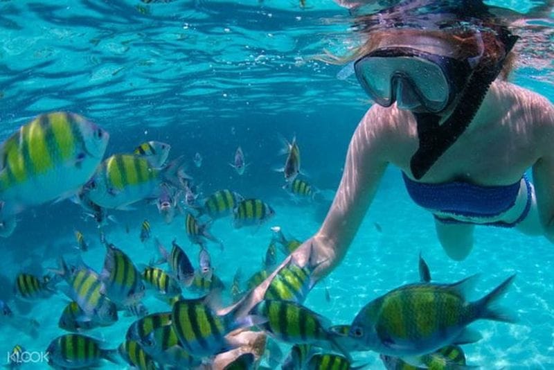 Billet Excursion privée aux îles Nalusuan, Hilutungan et Caohagan au départ de Cebu