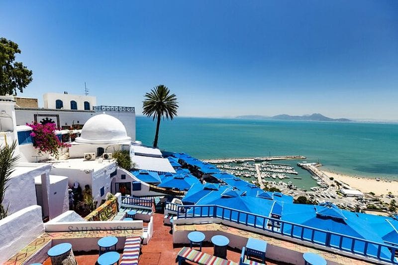 Billet Excursion à Carthage et Sidi Bou Saïd depuis Tunis