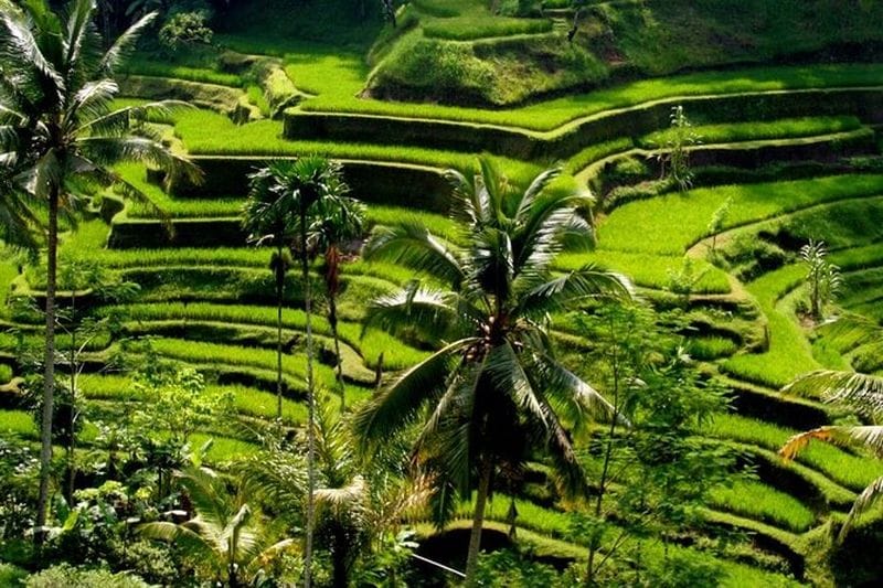 Billet Excursion dans les villages traditionnels de Bali