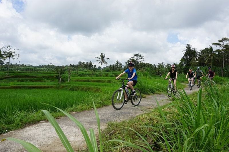 Billet Balade à vélo à Kintamani à Bali