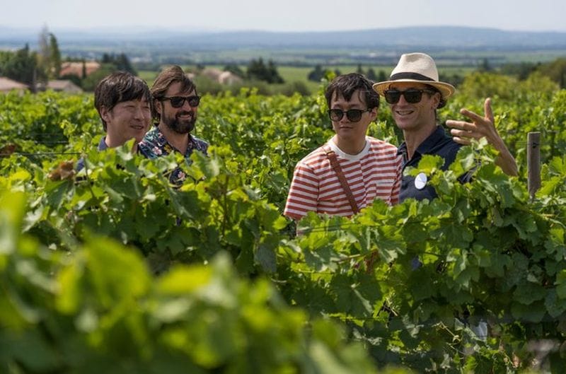 Billet Visite matinale des vins à Châteauneuf-du-Pape au départ d'Avignon