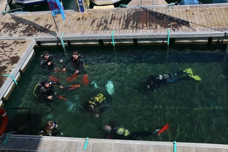 Billet Baptême de plongée à Fuerteventura