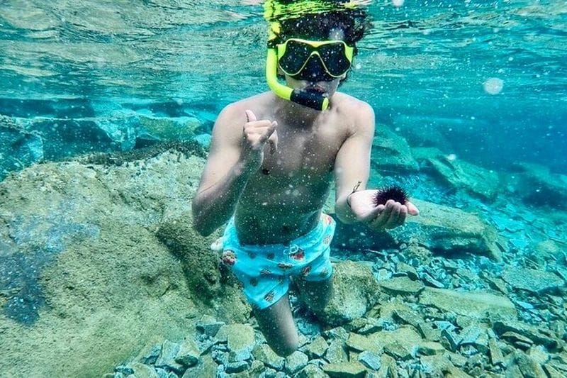 Billet Balade en bateau traditionnel avec déjeuner et vin à Santorin