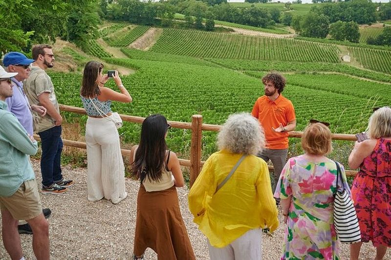 Billet Dégustation de vins à Saint-Émilion