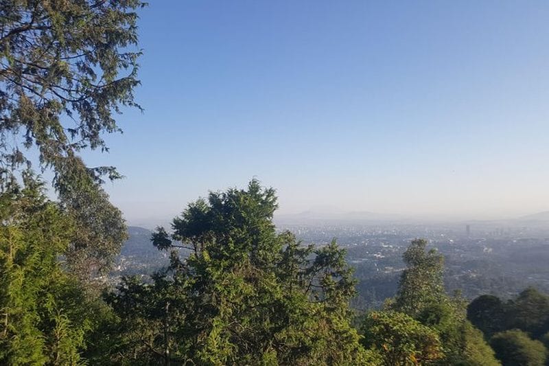 Billet Visite guidée d'Addis-Abeba