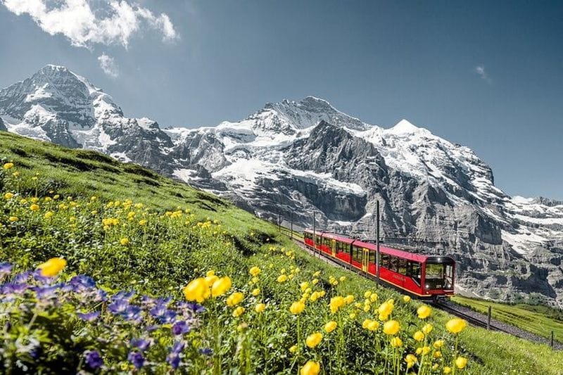 Billet Excursion aux Alpes suisses Jungfraujoch et Oberland bernois depuis Lucerne
