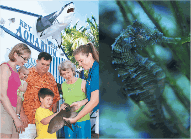 Billet Billets pour l'Aquarium de Key West