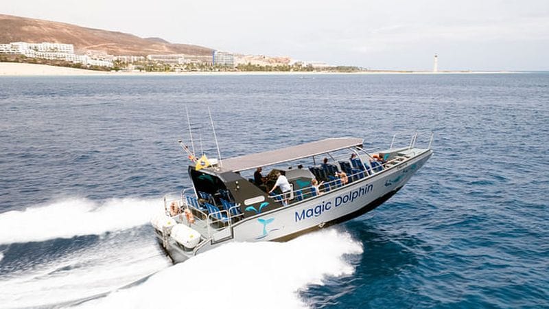 Billet Excursion d'observation des dauphins et baleines à Fuerteventura