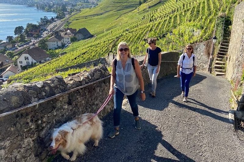 Billet Tour du vin à Lausanne