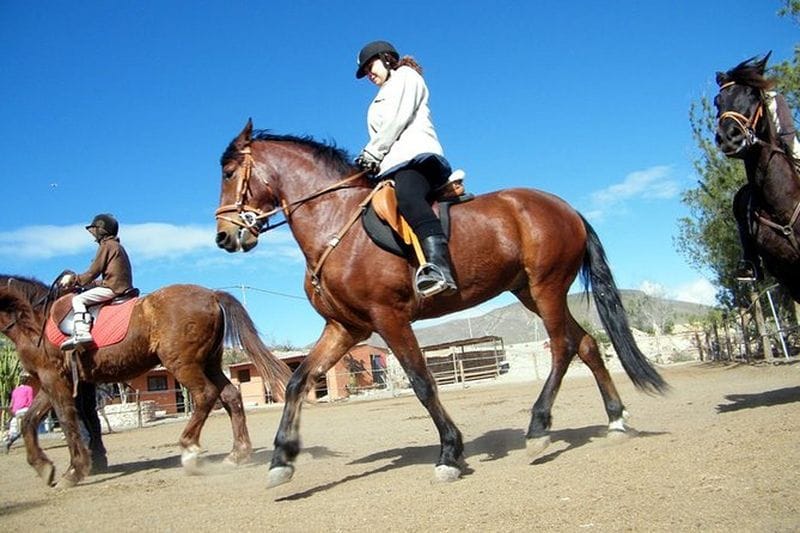 Billet Balade à cheval à Fuerteventura